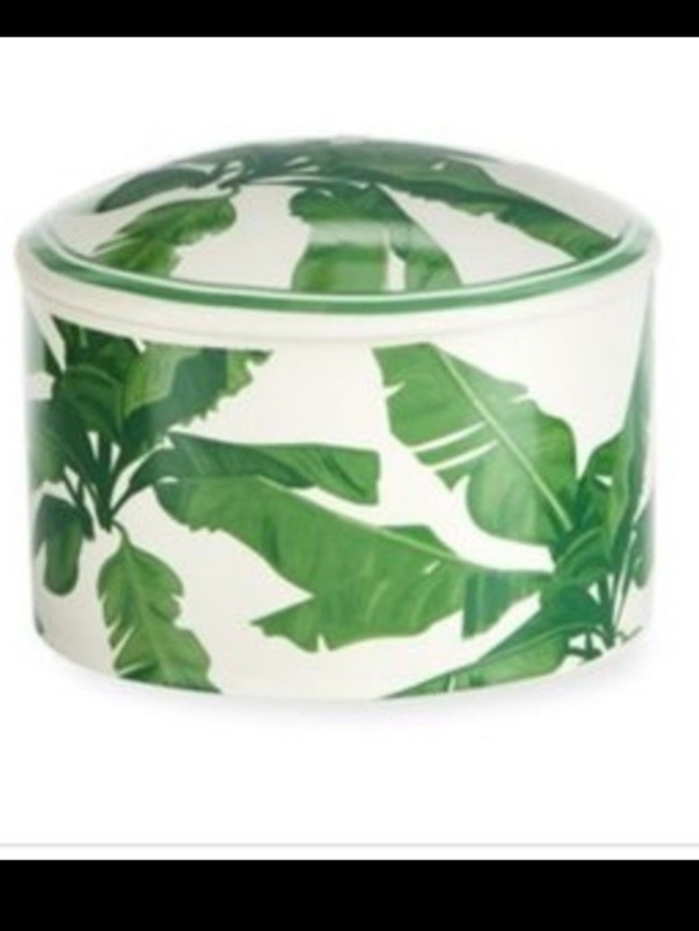 D.L. & Co 3 Wick Candle Reusable Lidded Ceramic Dish Palm Leaf Brazilian Guava